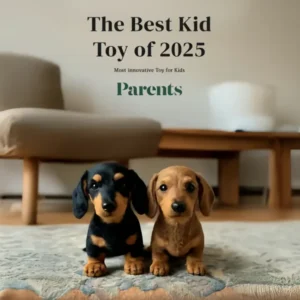 🐶 The Dachys – Emotional Healing on Demand